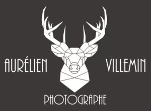 cropped-Logo-1